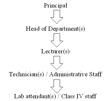 organizational-chart