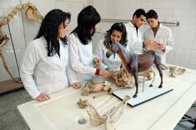 Rajasthan University Of Veterinary And Animal Sciences